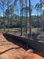 4481 Water Leaf Cove - Photo 2