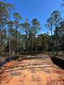 4481 Water Leaf Cove - Photo 3