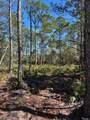 4481 Water Leaf Cove - Photo 5