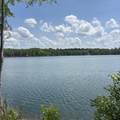 TBD Blue Pond Circle Circle - Photo 1