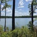 TBD Blue Pond Circle Circle - Photo 2