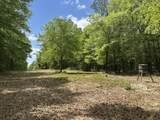 TBD Gomillion Road - Photo 15