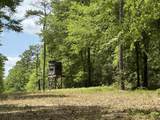 TBD Gomillion Road - Photo 16