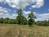 TBD Gomillion Road - Photo 6
