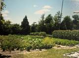 355 First Avenue - Photo 24