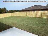 445 Scooter Cove - Photo 2