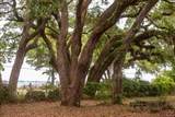 14332 Florida 20 - Photo 20