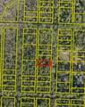lot 7 14th Street - Photo 3
