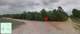 2.5 Acre Spring Hill Rd. - Photo 5