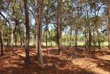1626 Lost Cove Lane - Photo 4