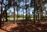 1626 Lost Cove Lane - Photo 5