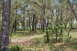 1506 Los Ninos Circle - Photo 4
