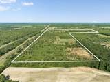 1205 Orange Hill Road - Photo 3