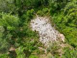 4.12 Acres Old Bethel Road - Photo 2
