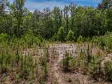 4.12 Acres Old Bethel Road - Photo 8