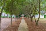 Lot 26 Sand Oaks Circle - Photo 15