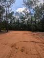 Lot 4 Dogwood Lakes Estates - Photo 10