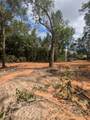 Lot 4 Dogwood Lakes Estates - Photo 15