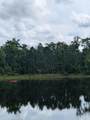 Lot 4 Dogwood Lakes Estates - Photo 18