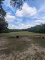Lot 4 Dogwood Lakes Estates - Photo 21