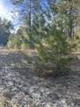 5225 Kimp Road - Photo 6