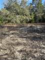 5225 Kimp Road - Photo 7
