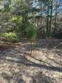 5225 Kimp Road - Photo 8