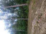 2.71 acres Kings Lake Road - Photo 6