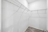 16 Woodsorrel Street - Photo 12