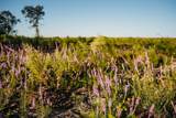 Lot 5 Kersey Branch Trail - Photo 9