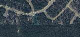 Lot 14 Shenandoah Boulevard - Photo 1