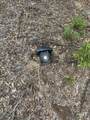 115 Clarks Landing Road - Photo 6