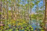 Lot 102-40 Cypress Walk - Photo 15
