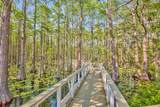 Lot 102-40 Cypress Walk - Photo 59
