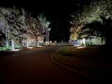 64 Lagrange Cove Circle - Photo 77