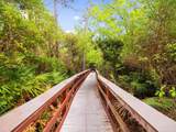 257 Leaning Pines Loop - Photo 43