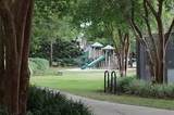 257 Leaning Pines Loop - Photo 44