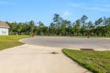 161 Blooming Cove - Photo 3