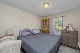 4 Holly Road - Photo 18
