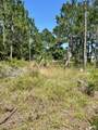 1021 Pearson Road - Photo 11