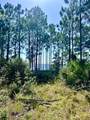 1021 Pearson Road - Photo 5
