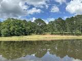 Parcel H County Road 20 / New Ebenezer Road - Photo 42