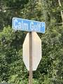 Lot 12/13 Calm Gulf Drive - Photo 7