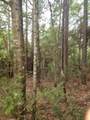 1.12 Acres Possum Ridge Road - Photo 2