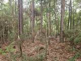 1.12 Acres Possum Ridge Road - Photo 3