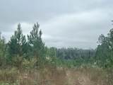 B, D1 & D2 Millside Road - Photo 6
