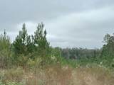 B, D1 & D2 Millside Road - Photo 7