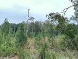 B, D1 & D2 Millside Road - Photo 8