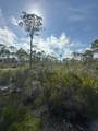 Lot A Adventure Avenue - Photo 2