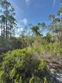 Lot A Adventure Avenue - Photo 7